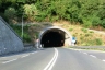 Castelletti Tunnel