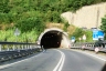 Sarbia Tunnel