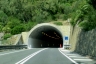 Seglia Tunnel