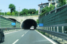 Servola Tunnel