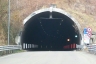 Volpe Tunnel