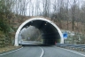 Tunnel d'Ardemo