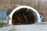 Tunnel Ferrere