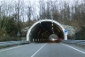 Miola 1 Tunnel