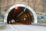 Tunnel Miola 2