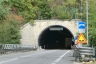 Monte Castello Tunnel
