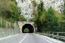 Tunnel de Motte