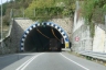 Pavone Tunnel
