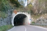 Ponte Pià-Tunnel