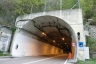 Tunnel de Dom
