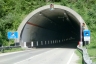 Dint Tunnel