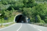 Zerbino Tunnel
