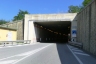 Millesimo 1 Tunnel