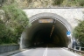 Tunnel de Visolo
