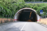 Tunnel Montegrosso