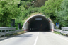Vispa Tunnel