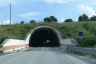 Tunnel Cesurelle