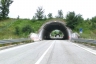 Tunnel de La Mandria