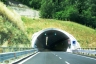 San Gregorio Tunnel