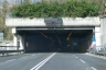 Loveno-Tunnel