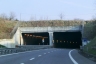 Tunnel de Meucci
