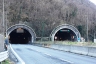 Monte Piazzo Tunnel