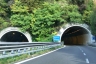 Sornico Tunnel