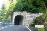 Starleggia Tunnel