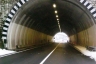Marina-Tunnel