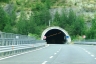 Roccaccia Tunnel
