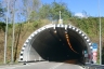 Tunnel de Mario