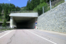 Tunnel de Rio Finale