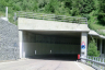 Tunnel de Rio Merlo