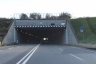 Sant'Alessandro Tunnel