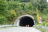 San Donnino Tunnel