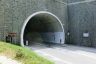 Tunnel de Martiri del Turchino 19 Maggio 1944