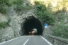 Tunnel de Fauni