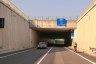 Tunnel Pasina
