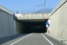 Tunnel de Varone