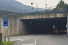 Tunnel de Seriola