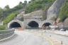 Ponte Alto 2 Tunnel