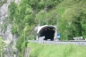 Pedesalto Tunnel