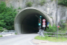 Tunnel Goldegg