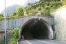 Colpiano Tunnel