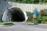 Vello II Tunnel