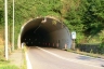 Zone Tunnel