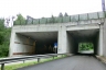 Boscoverde Tunnel
