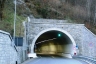 Ceppo Morelli Tunnel
