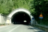Collegiudeo Tunnel