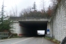 Depuratore Tunnel